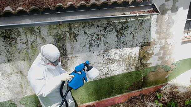 Trusted Attic Mold Removal service in Marlboro, NY - Cheap Mold Removal
